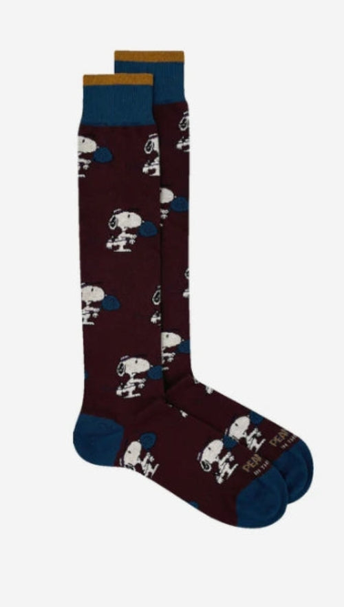 IN THE BOX FW250013 SNOOPY PEANUTS MARRONE